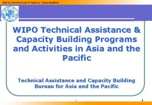 WIPO Technical Assistance Capacity Building Programs and Activities