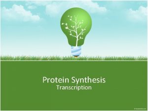 Protein Synthesis Transcription Transcription Producing an m RNA