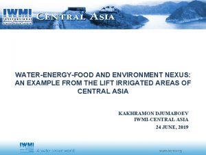 WATERENERGYFOOD AND ENVIRONMENT NEXUS AN EXAMPLE FROM THE