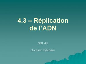 4 3 Rplication de lADN SBI 4 U