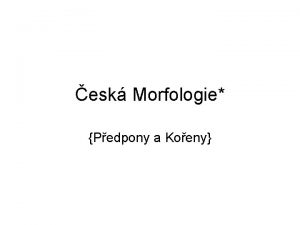 esk Morfologie Pedpony a Koeny esk Morfologie Pedpony