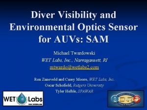 Diver Visibility and Environmental Optics Sensor for AUVs