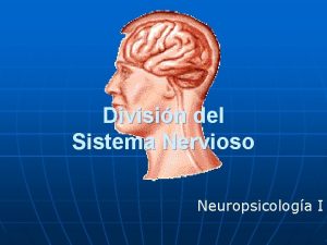 Divisin del Sistema Nervioso Neuropsicologa I Sistema Nervioso