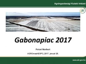 Gabonapiac 2017 Potori Norbert AGROmash EXPO 2017 janur