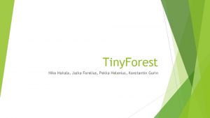 Tiny Forest Niko Hakala Juska Forelius Pekka Helenius