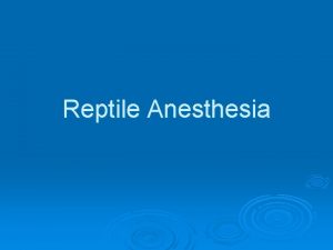 Reptile Anesthesia Injectable and inhalant anesthetics are commonly