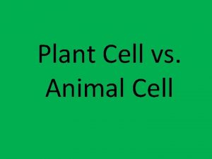 Plant Cell vs Animal Cell Cell Wall Vacuole