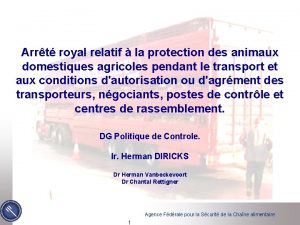 Arrt royal relatif la protection des animaux domestiques