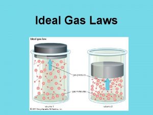 Ideal Gas Laws The Ideal Gas Laws The