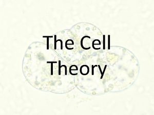 The Cell Theory Important Scientists Many important scientists