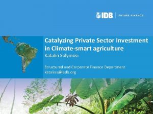 Catalyzing Private Sector Investment in Climatesmart agriculture Katalin
