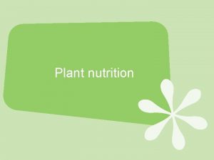 Plant nutrition Success criteria Observes the external features