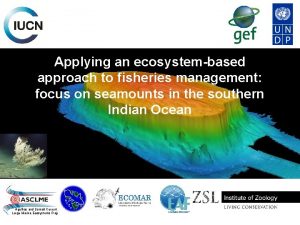 Applying an ecosystembased approach to fisheries management focus