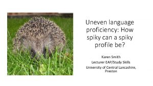 Uneven language proficiency How spiky can a spiky