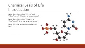 Chemical Basis of Life Introduction What does the