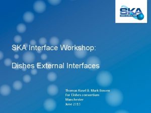 SKA Interface Workshop Dishes External Interfaces Thomas Kusel