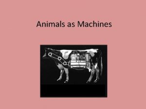 Animals as Machines Descartes Ren Descartes 1596 1650