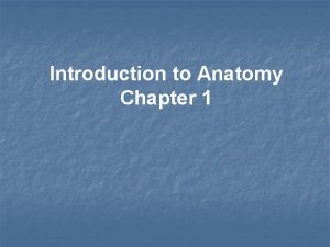 Introduction to Anatomy Chapter 1 Study of Anatomy