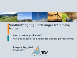 Vindkraft og fugl Erfaringer fra Smla Norge Hvor