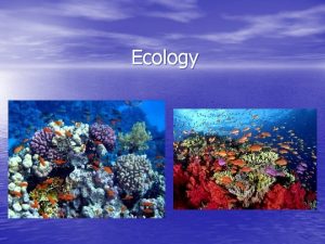 Ecology What is Ecology Ecology is the study