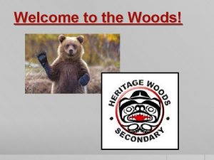 Welcome to the Woods Your Connections Admin Career