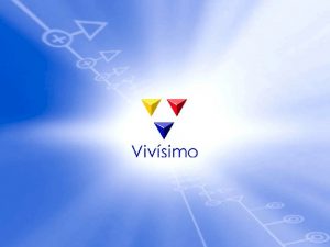 About Vivisimo Inc is an enterprise software company