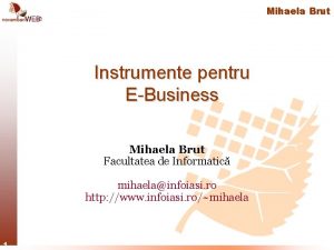 Mihaela Brut Instrumente pentru EBusiness Mihaela Brut Facultatea