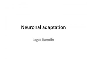 Neuronal adaptation Jagat Ramdin Neuromorpho org Neuromorpho org