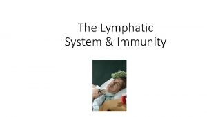 The Lymphatic System Immunity Lymphatic System Organization What