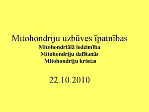 Mitohondriju uzbves patnbas Mitohondril iedzimba Mitohondriju dalans Mitohondriju