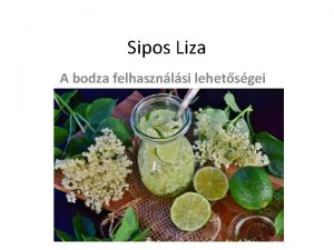 Sipos Liza A bodza felhasznlsi lehetsgei A bodza