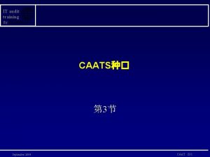 IT audit training for CAATS 3 September 2004