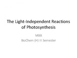 The LightIndependent Reactions of Photosynthesis MBB Bio Chem