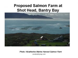 Proposed Salmon Farm at Shot Head Bantry Bay