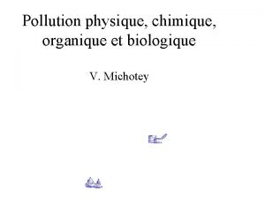 Pollution physique chimique organique et biologique V Michotey