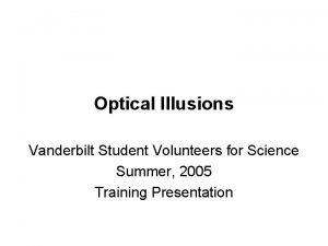 Optical Illusions Vanderbilt Student Volunteers for Science Summer