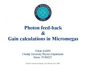 Photon feedback Gain calculations in Micromegas zkan AHN