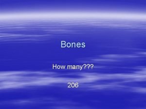 Bones How many 206 BONES 1 2 3