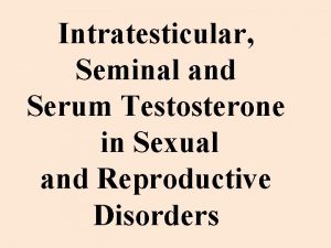 Intratesticular Seminal and Serum Testosterone in Sexual and