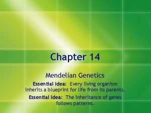 Chapter 14 Mendelian Genetics Essential Idea Every living