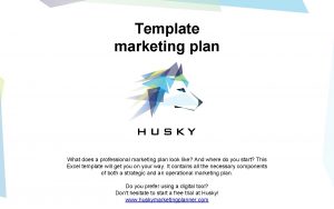 Template marketing plan What does a professional marketing