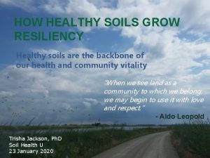 HOW HEALTHY SOILS GROW RESILIENCY Healthy soils are