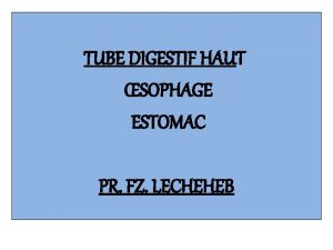 TUBE DIGESTIF HAUT SOPHAGE ESTOMAC PR FZ LECHEHEB