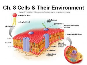 Ch 8 Cells Their Environment Section 8 1