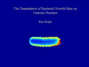 The Dependence of Bacterial Growth Rate on Osmotic