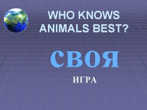 WHO KNOWS ANIMALS BEST Wild animals 100 200