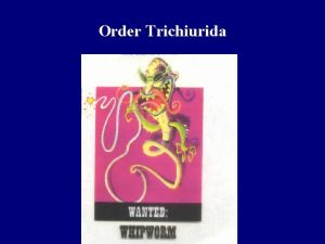 Order Trichiurida Order Trichiurida Trichuris trichiura Whipworm Trichinella