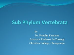 Sub Phylum Vertebrata By Dr Preetha Karnaver Assistant