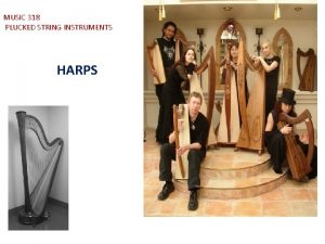 MUSIC 318 PLUCKED STRING INSTRUMENTS HARPS HISTORY THE