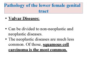 Pathology of the lower female genital tract Vulvar